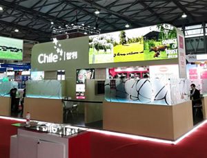 500多平米展位設(shè)計多少錢